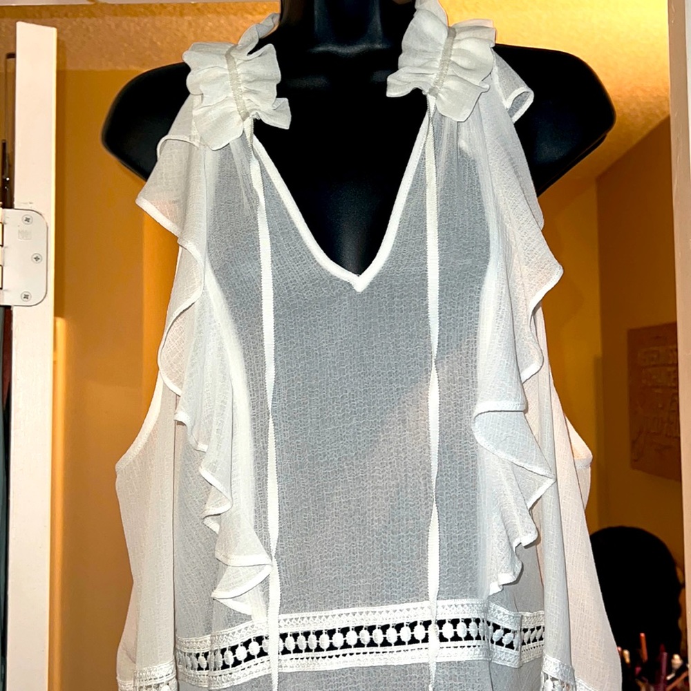 An elegant see through blouse with dynamic details